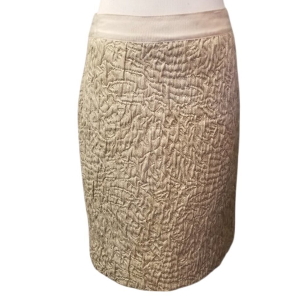 J.Crew Collection metallic pencil skirt women's size 2 (H34)